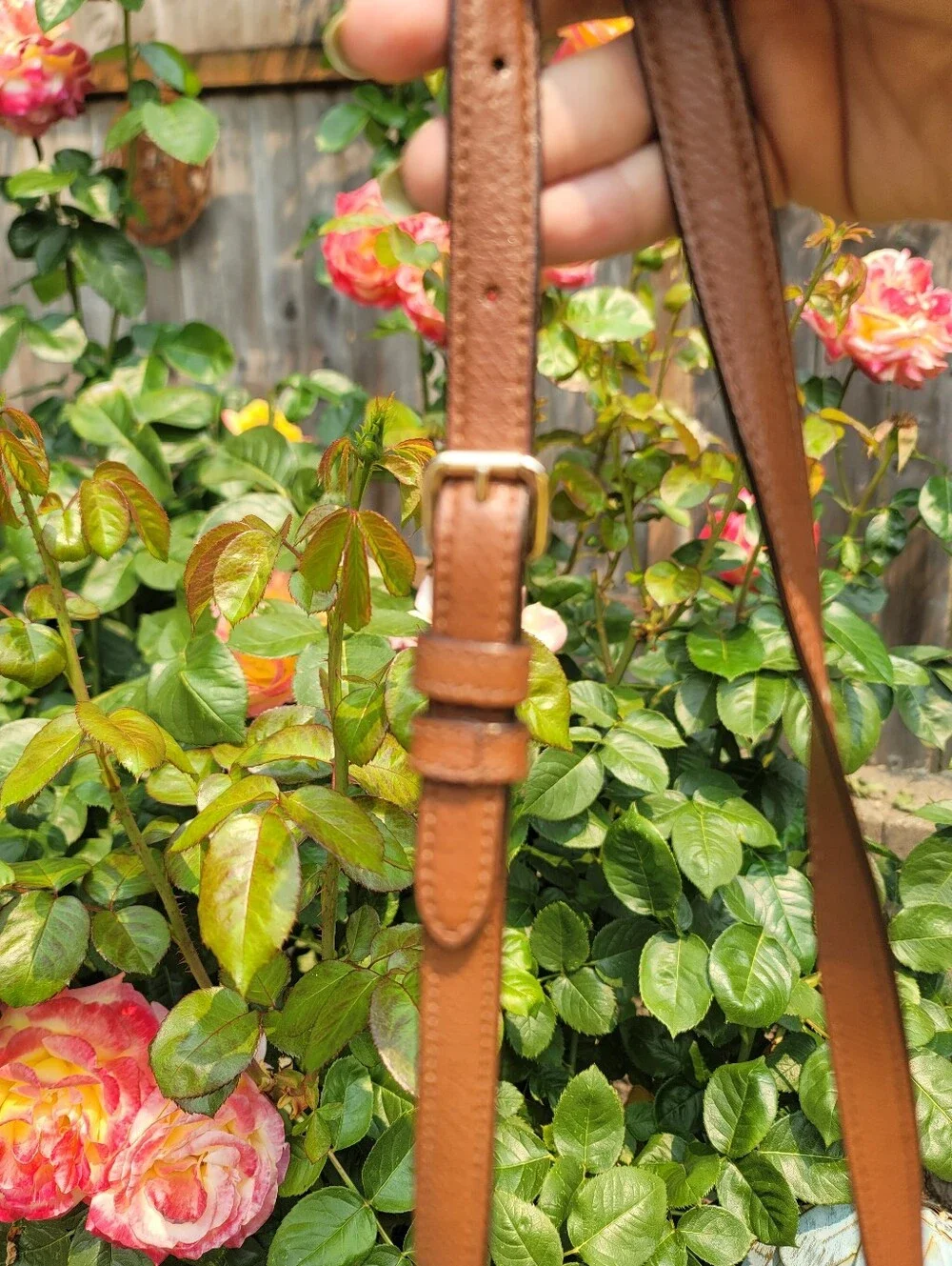 Coach Signature Stripe Tan Crossbody